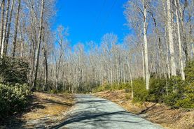 Undeveloped Land for sale in Tazewell County, Virginia