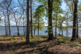 Undeveloped Land for sale in Henderson County, Texas