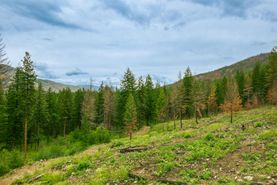 Undeveloped Land for sale in Okanogan County, Washington