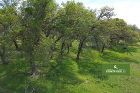 Ranch Property for sale in Gillespie County, Texas