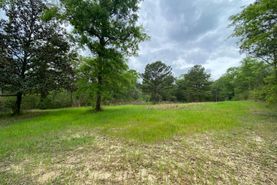 Hunting Land for sale in Mobile County, Alabama