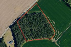 Undeveloped Land for sale in Dillon County, South Carolina