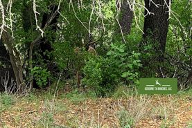 Ranch Property for sale in Edwards County, Texas