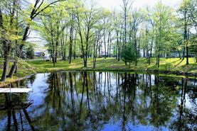 Lakefront Properties for Sale in Northwest Wisconsin Region - 271 