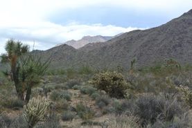 Undeveloped Land for sale in Mohave County, Arizona