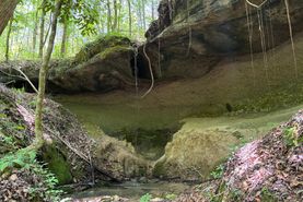 Hunting Land for sale in Clarke County, Alabama