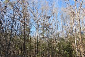 Recreational Property for sale in Jefferson County, Arkansas