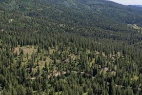 Undeveloped Land for sale in Valley County, Idaho