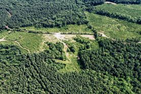 Undeveloped Land for sale in Jasper County, Mississippi
