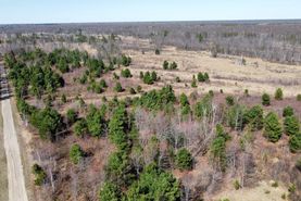 Undeveloped Land for Sale in Juneau County, Wisconsin - 117 