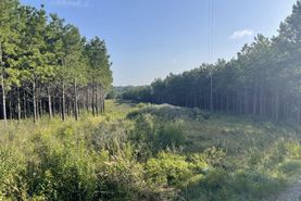 Recreational Property for sale in Shelby County, Texas