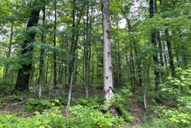 Recreational Property for sale in Lee County, Alabama