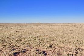 Undeveloped Land for sale in Apache County, Arizona
