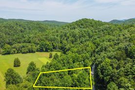 Undeveloped Land for sale in Monroe County, Tennessee