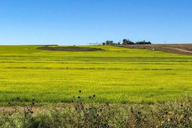 Ranch Property for sale in Scotts Bluff County, Nebraska