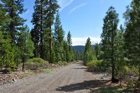 Timberland Property for sale in Modoc County, California