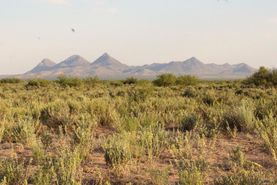 Property for sale in Luna County, New Mexico