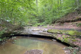 Timberland Property for sale in Breathitt County, Kentucky