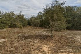 Undeveloped Land for sale in Putnam County, Florida