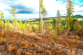 Undeveloped Land for sale in Bonner County, Idaho