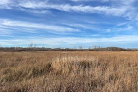 Undeveloped Land for sale in Pennington County, Minnesota