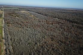 Undeveloped Land for sale in Richland Parish, Louisiana