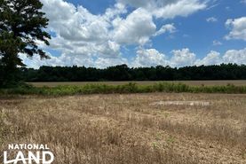 Property for sale in Dillon County, South Carolina