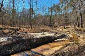 Recreational Property for sale in Fairfield County, South Carolina