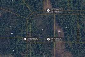 Undeveloped Land for sale in Matanuska-Susitna Borough, Alaska