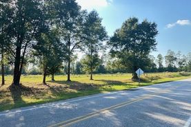 Undeveloped Land for sale in Mobile County, Alabama