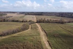 Undeveloped Land for sale in Randolph County, North Carolina