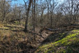 Undeveloped Land for sale in Guadalupe County, Texas
