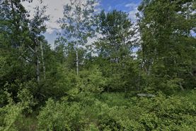 Undeveloped Land for sale in Iosco County, Michigan