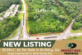 Undeveloped Land for sale in Camden County, Georgia