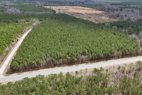 Undeveloped Land for sale in Arkansas County, Arkansas