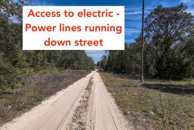 Undeveloped Land for sale in Levy County, Florida