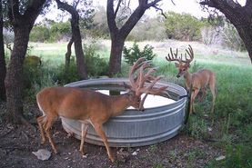 Ranch Property for sale in Kerr County, Texas