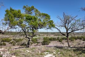 Recreational Property for sale in Hamilton County, Texas