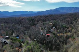 Undeveloped Land for sale in Sevier County, Tennessee