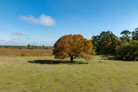 Property for sale in Crisp County, Georgia