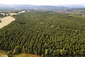 Hunting Land for sale in Rutherford County, North Carolina