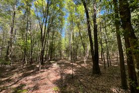 Recreational Property for sale in Coffee County, Alabama