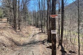 Hunting Land for sale in Potter County, Pennsylvania