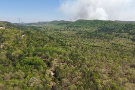 Undeveloped Land for sale in Polk County, Arkansas