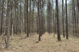 Undeveloped Land for sale in Madison County, Mississippi