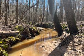 Recreational Property for sale in Elbert County, Georgia
