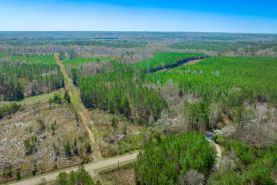 Timberland Property for sale in Chester County, South Carolina