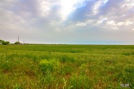 Undeveloped Land for sale in Taylor County, Texas
