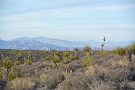 Undeveloped Land for sale in Mohave County, Arizona