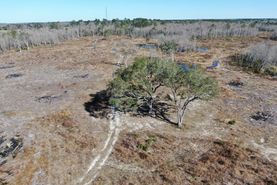 Undeveloped Land for sale in Madison County, Florida